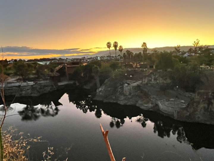 WhatsApp Image 2026-01-05 at 11.