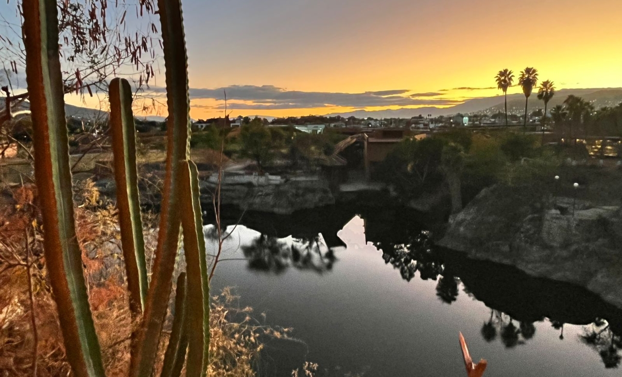 WhatsApp Image 2026-01-05 at 11.18.43 AM